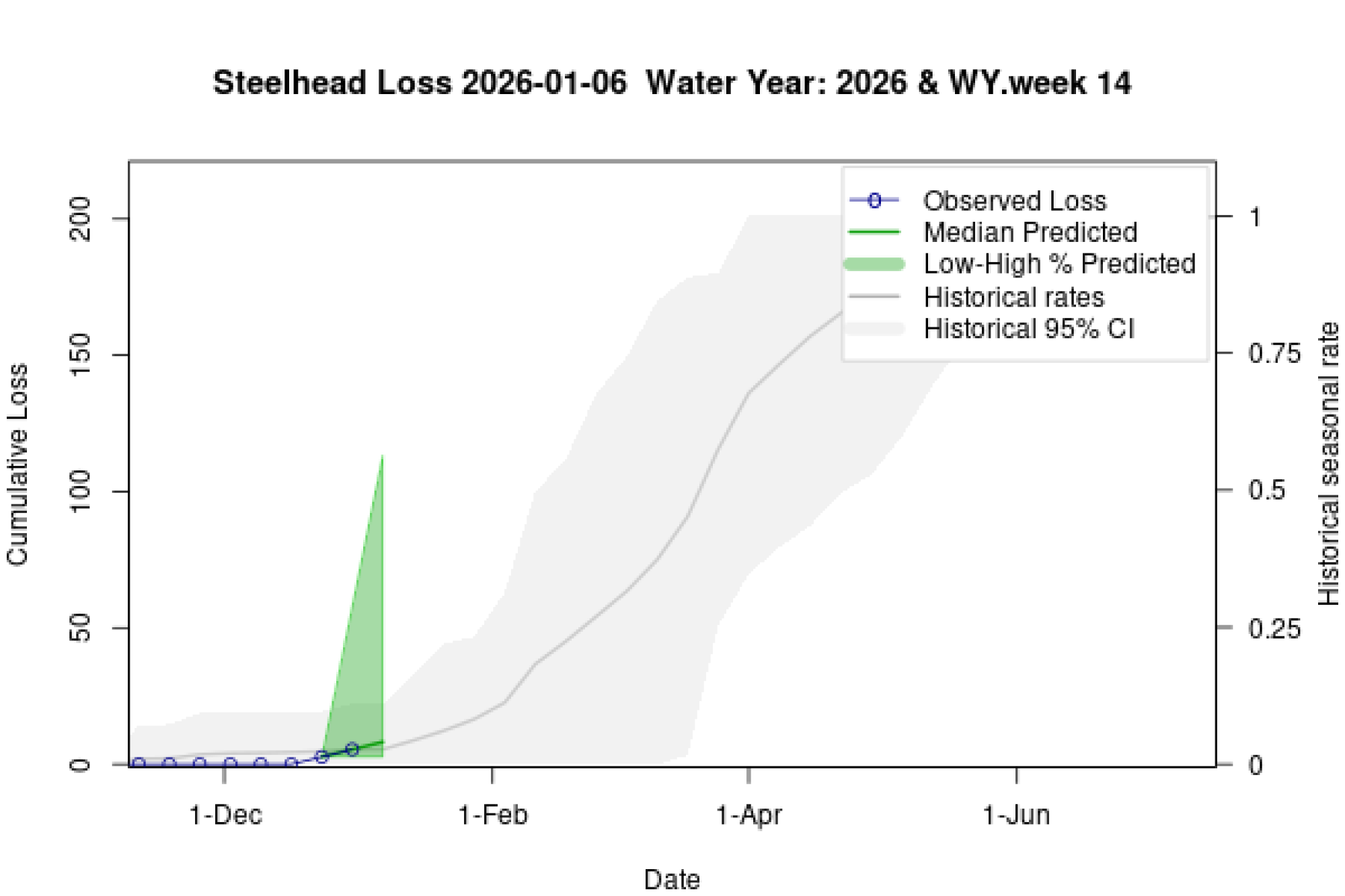 Graph showing observed cumulative loss of steelhead (points) with predicted future loss trajectories including mean predictions (line) and 80% credible intervals (shaded area).