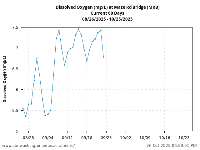 Plot of 60 Days current conditions Dissolved Oxygen (mg/L) at Maze Rd Bridge (MRB)