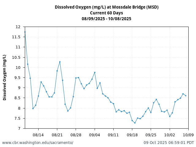Plot of 60 Days current conditions Dissolved Oxygen (mg/L) at Mossdale Bridge (MSD)