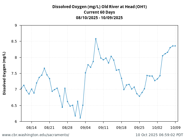 Plot of 60 Days current conditions Dissolved Oxygen (mg/L) Old River at Head (OH1)
