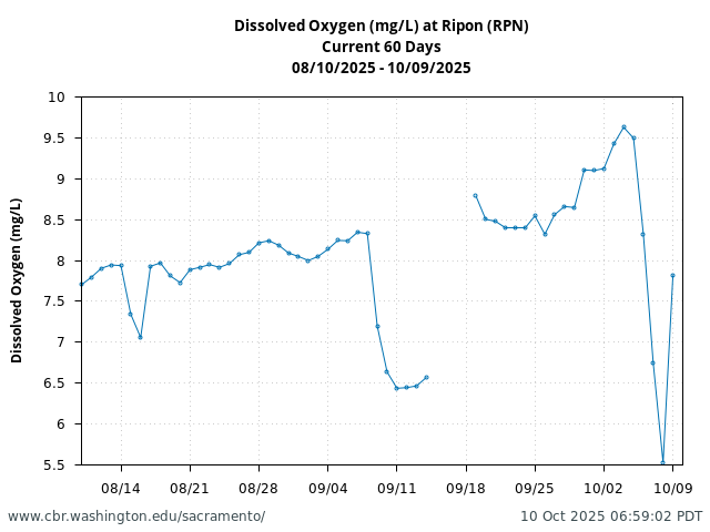 Plot of 60 Days current conditions Dissolved Oxygen (mg/L) at Ripon (RPN)