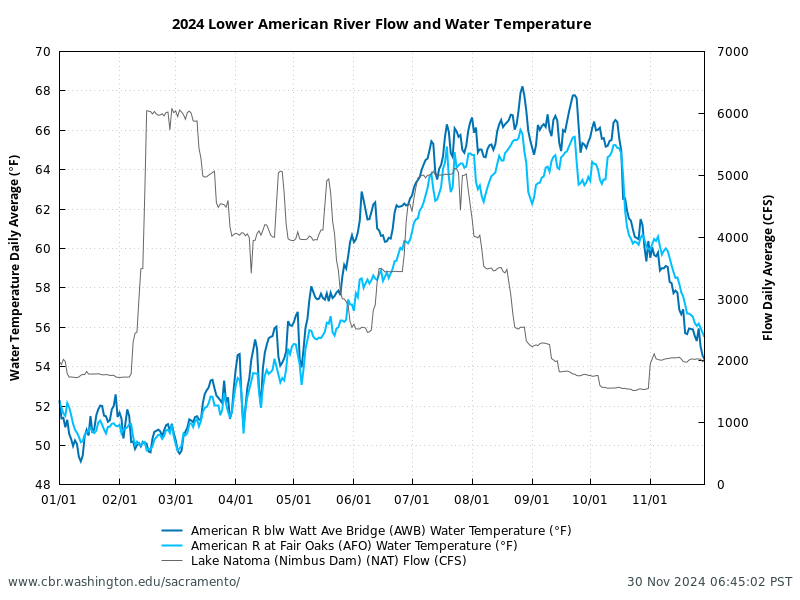 Line chart for 2024 Lower American River daily average flow at Lake Natoma Nimbus Dam (NAT) and water temperatures, below Watt Ave Bridge (AWB), and at Fair Oaks (AFO). Water temperatures (in degrees Fahrenheit) and flow in cubic feet per second (CFS). Data retrieved from CDEC; figure generated by SacPAS.