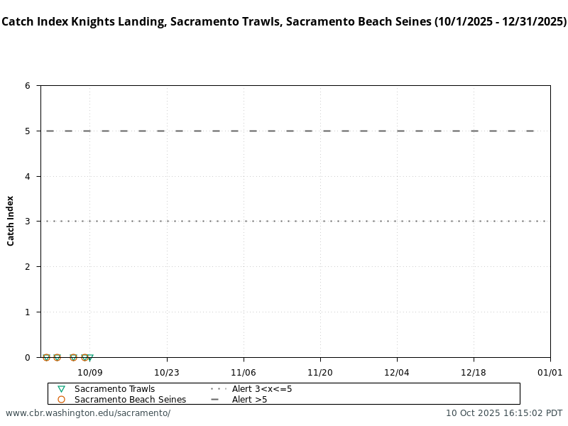 graphic Catch Index Knights Landing, Sacramento Trawls, Sacramento Beach Seines (10/1/2025 - 12/31/2025)